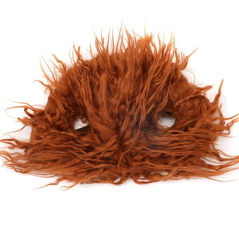 Cosplay Costume Halloween