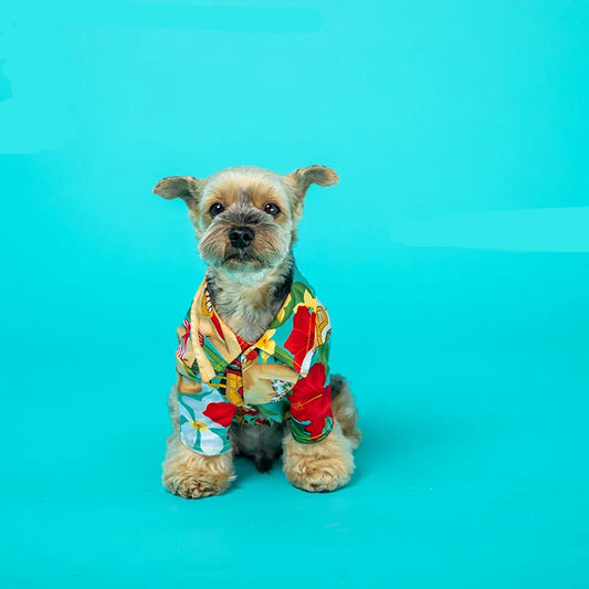 Hawaiian Beach T-Shirts