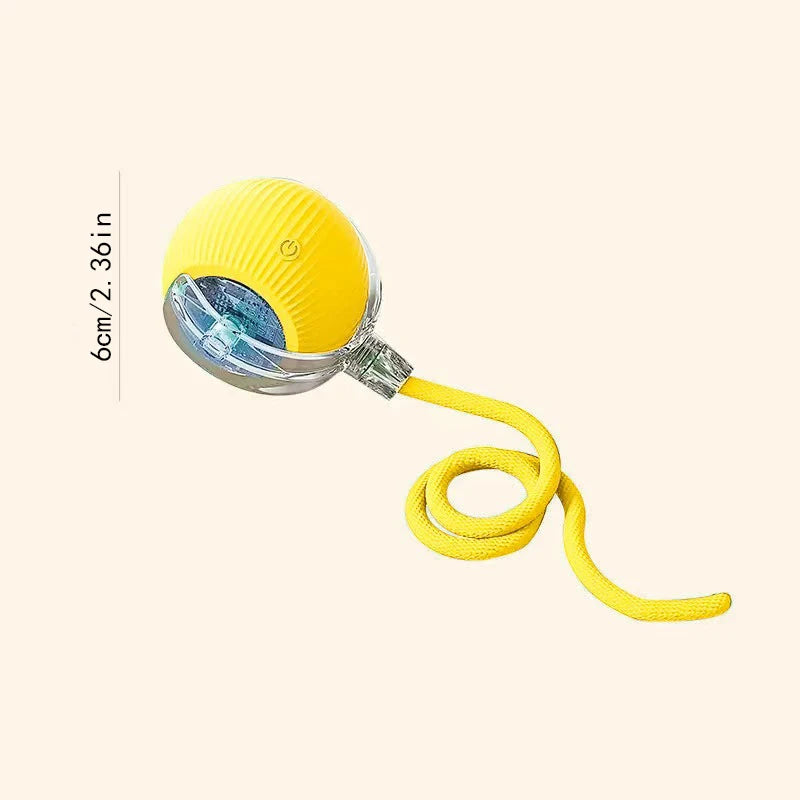 Electronic Interactive Pet Toy - Moving Ball USB