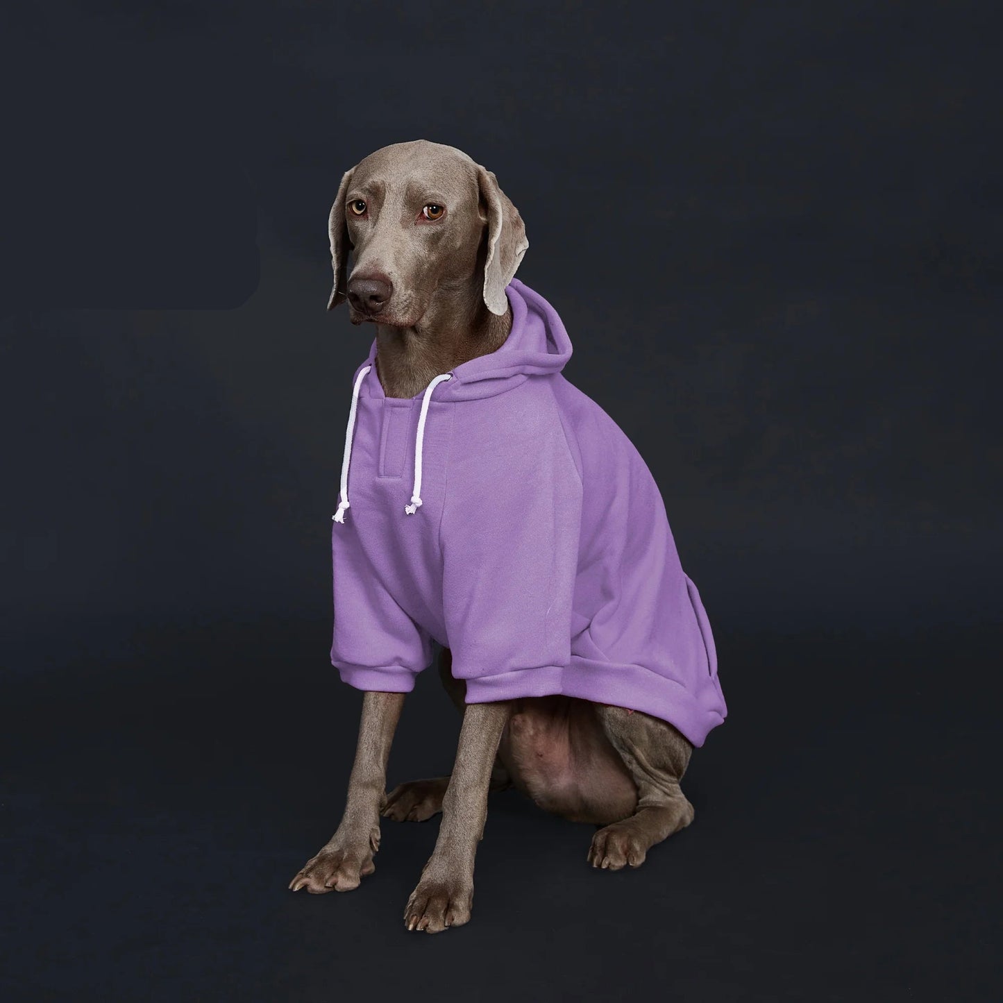 Dog Hoodie with Pocket