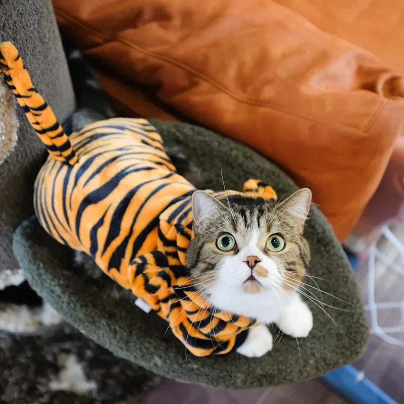 Dinosaur/ Pikachu / Tiger Cosplay Costume