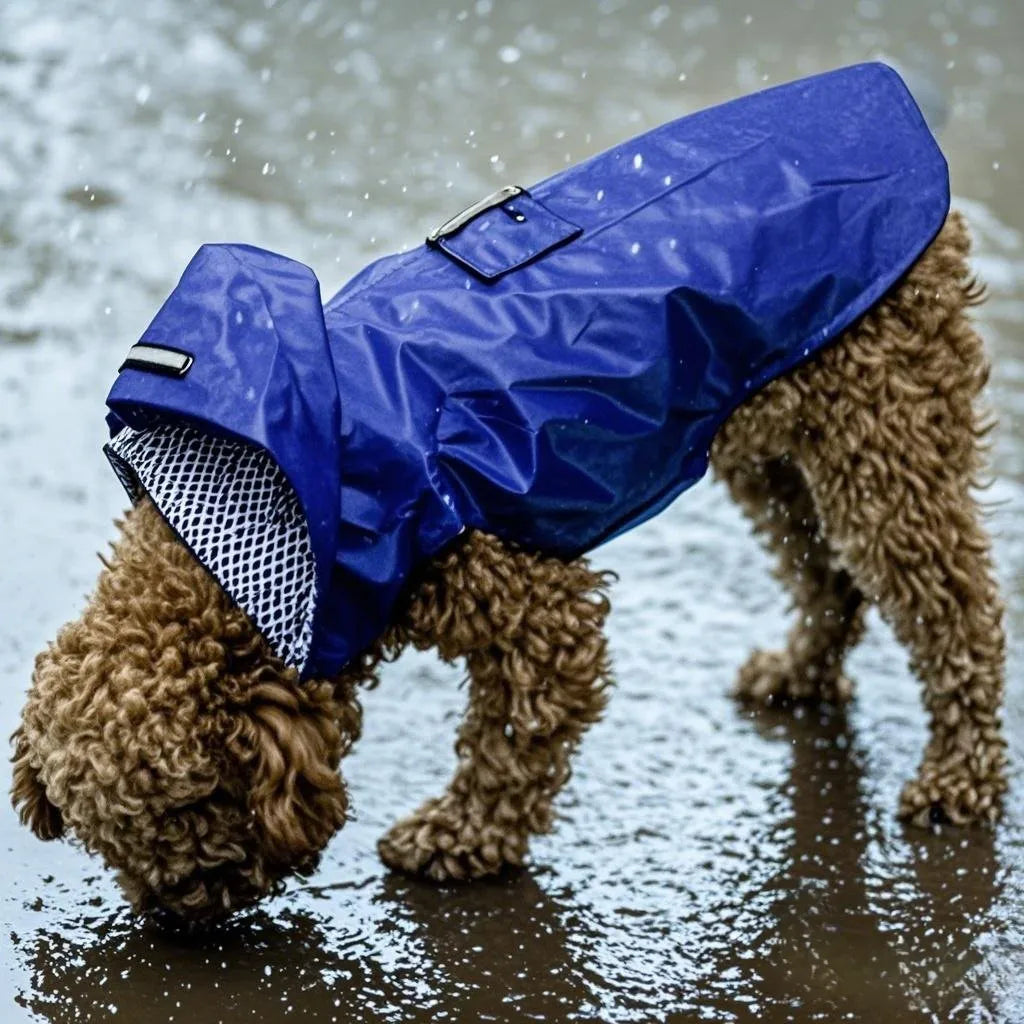 Reflective Raincoat
