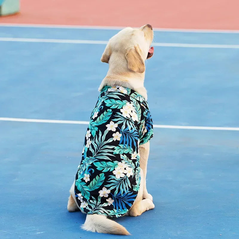 Hawaiian Beach Style Dog