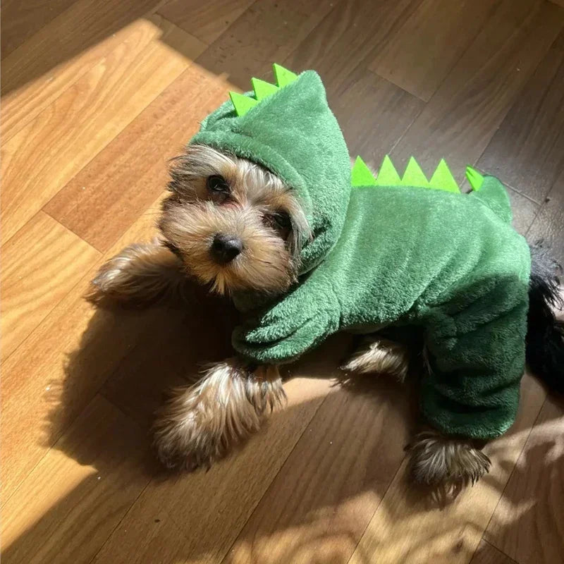 Dinosaur/ Pikachu / Tiger Cosplay Costume