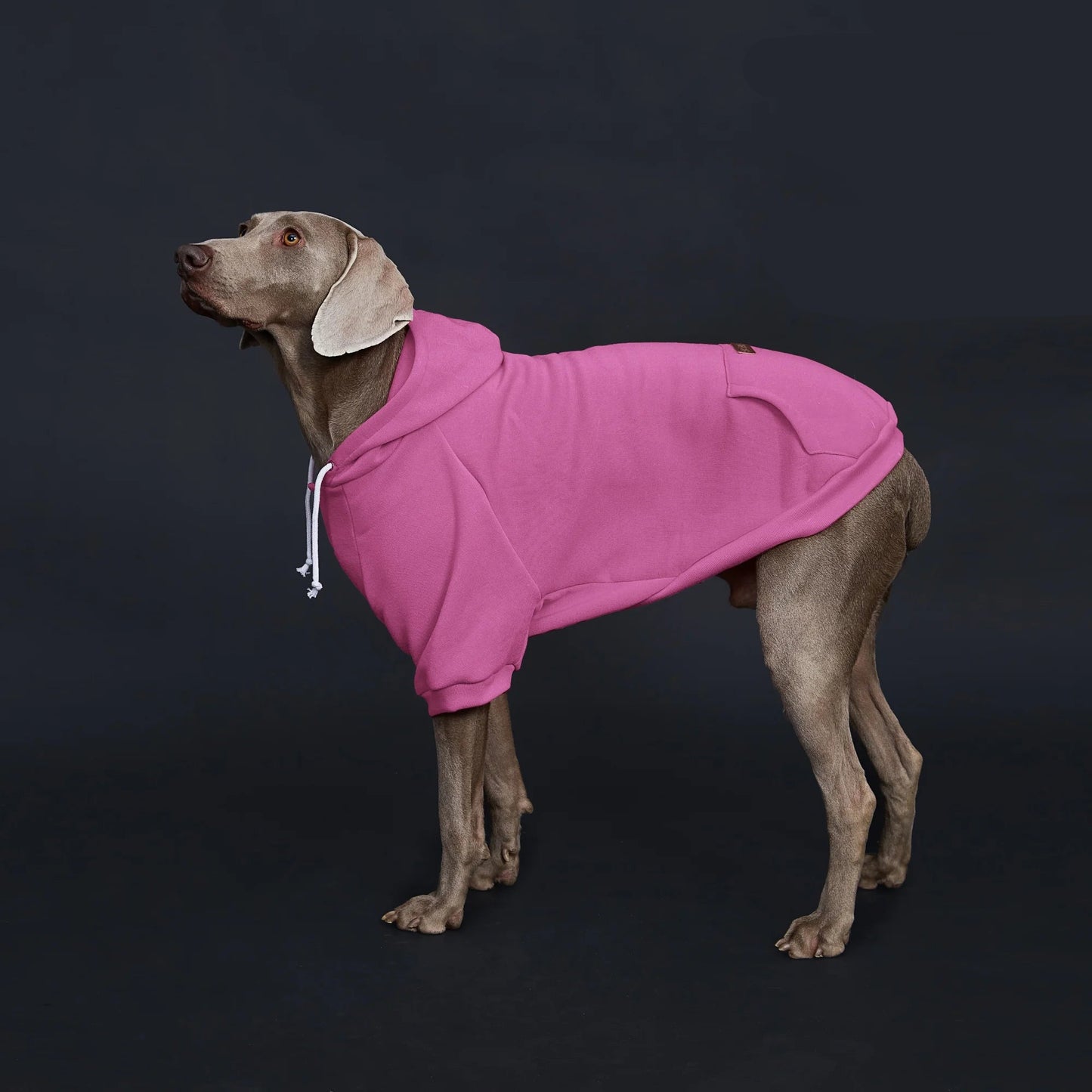 Dog Hoodie with Pocket