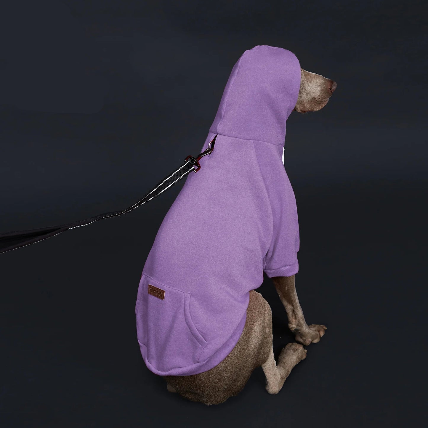 Dog Hoodie with Pocket
