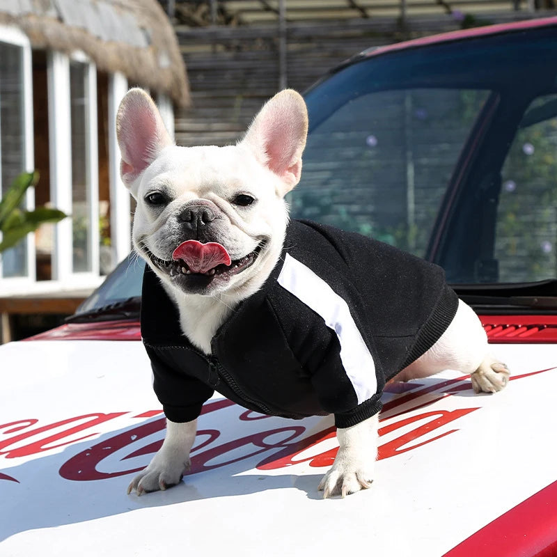 Baseball Dog Jacket