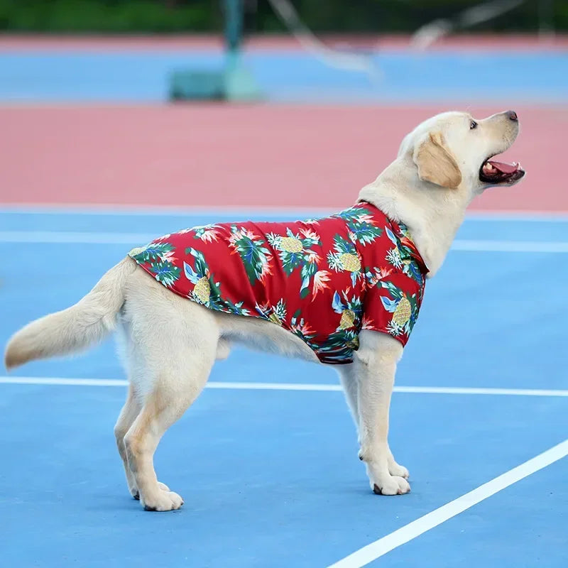 Hawaiian Beach Style Dog