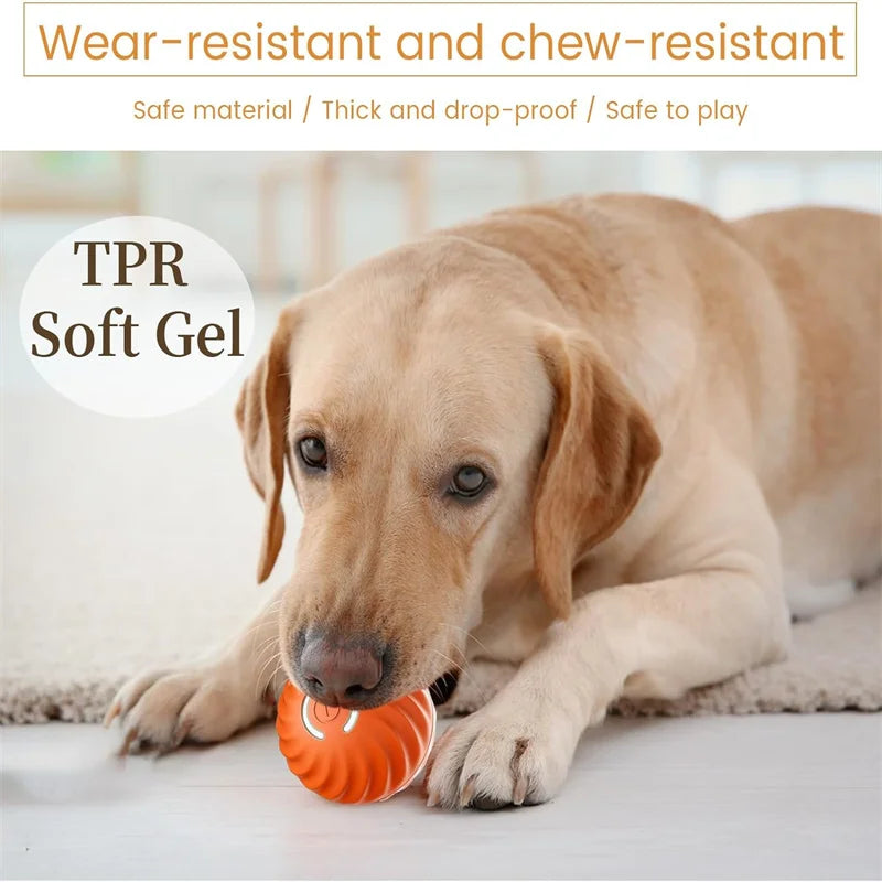 Electronic Interactive Pet Toy - Moving Ball USB