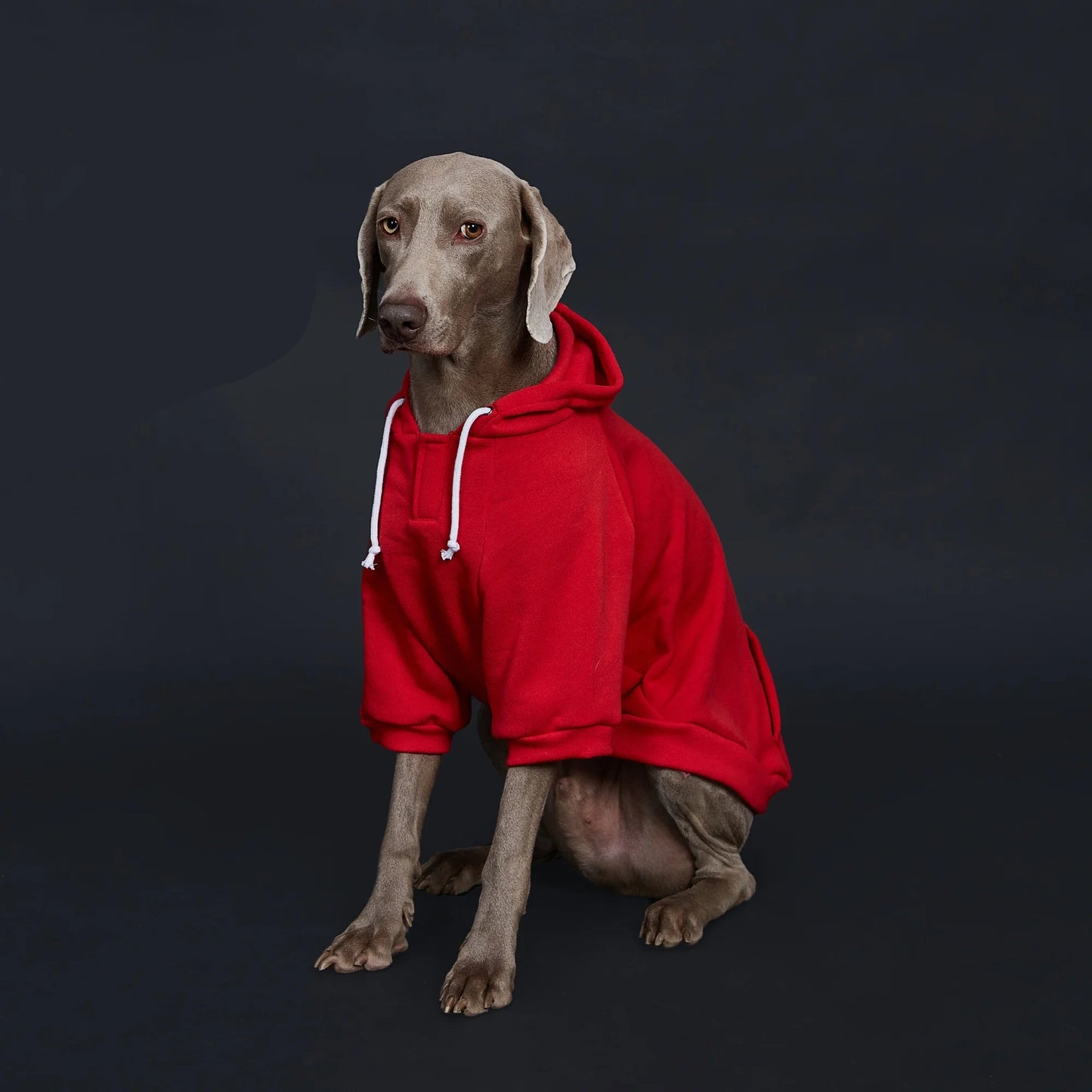 Dog Hoodie with Pocket