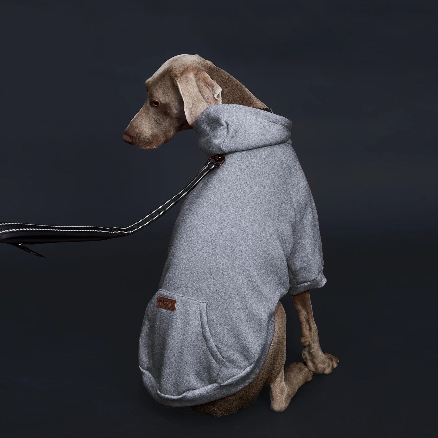 Dog Hoodie with Pocket