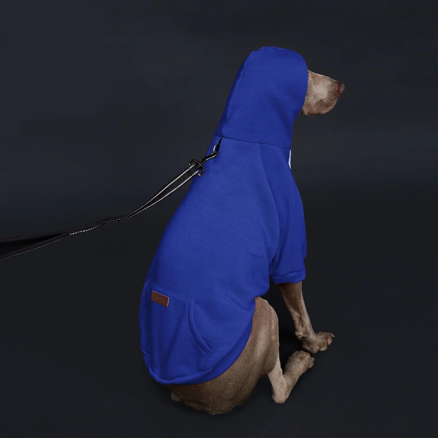 Dog Hoodie with Pocket