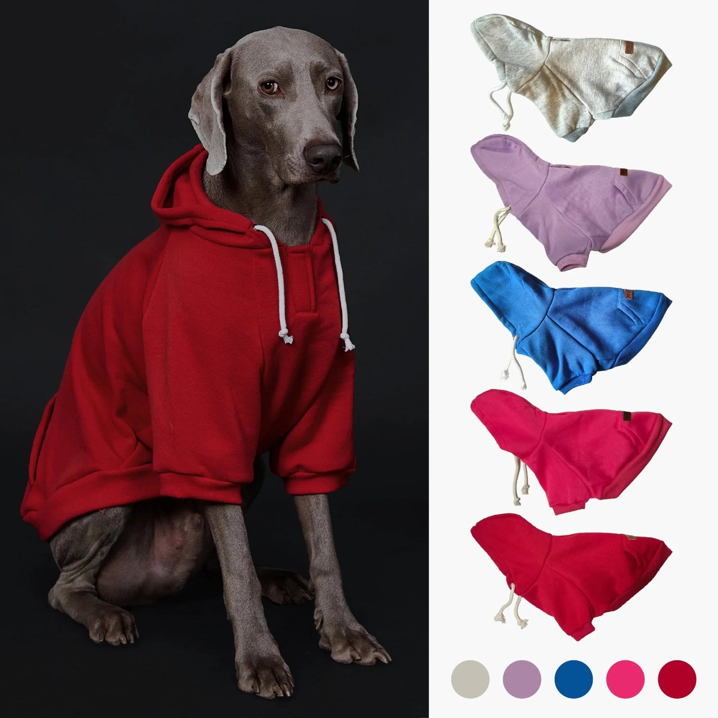 Dog Hoodie with Pocket