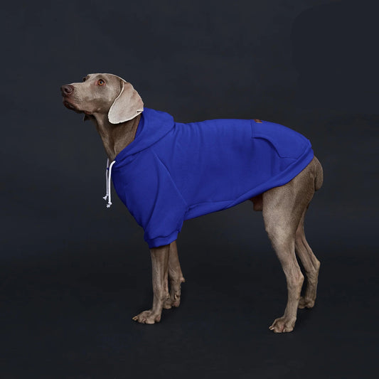 Dog Hoodie with Pocket