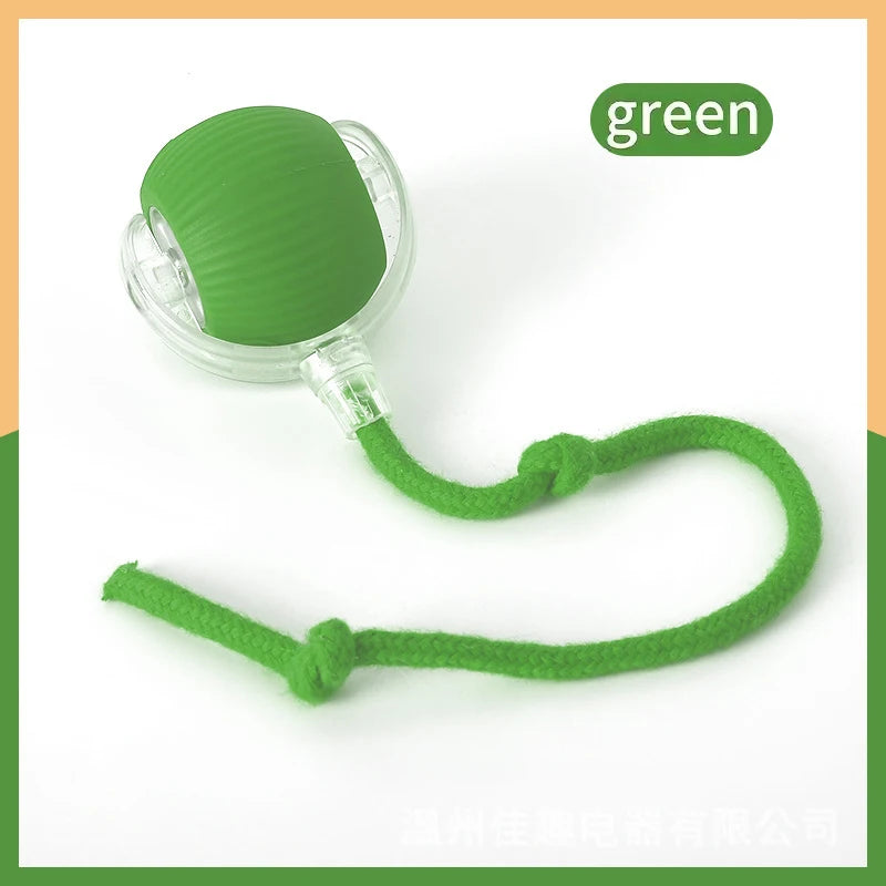 Electronic Interactive Pet Toy - Moving Ball USB