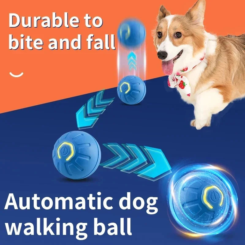 Electronic Interactive Pet Toy - Moving Ball USB