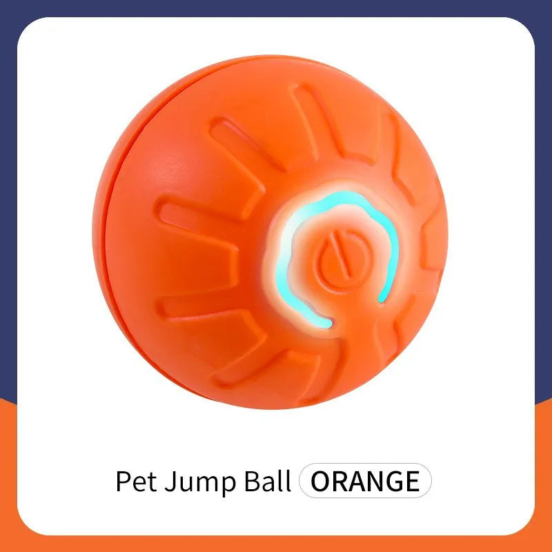 Electronic Interactive Pet Toy - Moving Ball USB