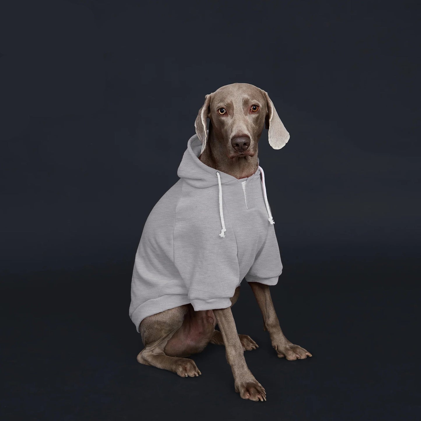 Dog Hoodie with Pocket