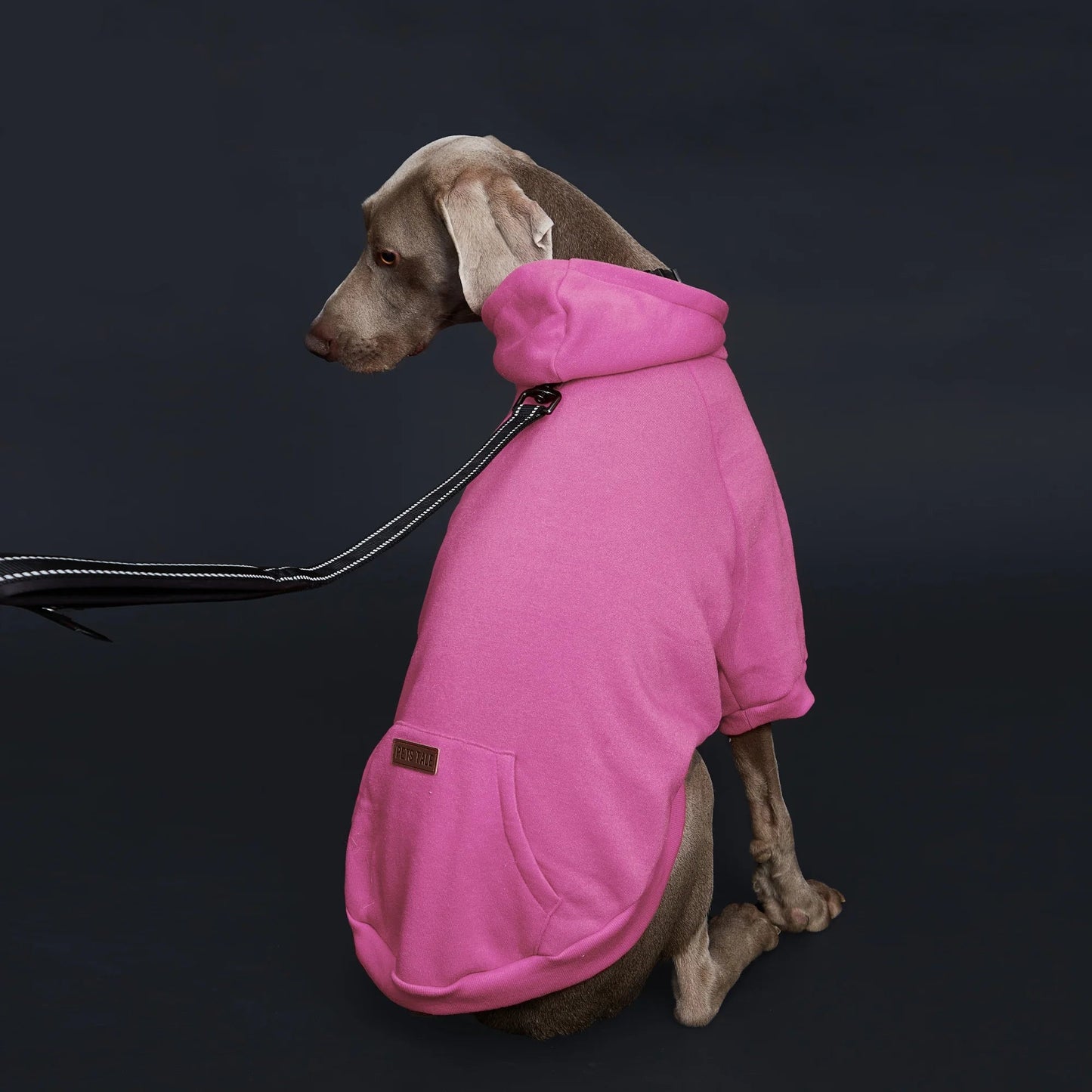 Dog Hoodie with Pocket