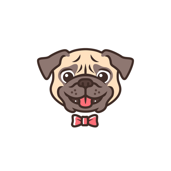 PawLume Store