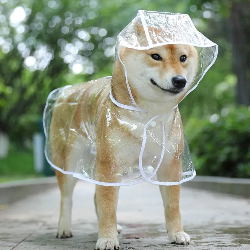 Dog Transparent Rainwear