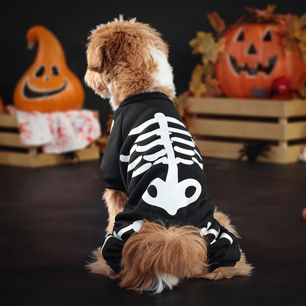 Fluorescence Pet Skeleton Costume