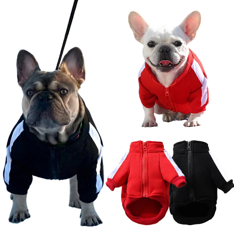 Baseball Dog Jacket