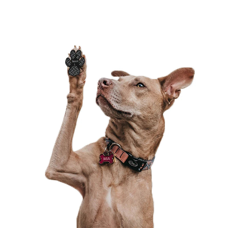 4-Pack Dog Anti Slip Paw