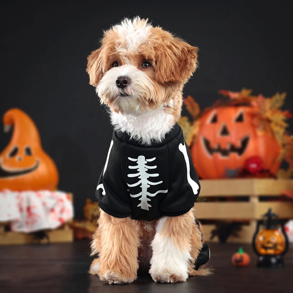 Fluorescence Pet Skeleton Costume