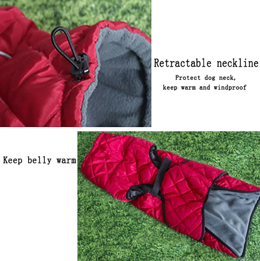 Jacket Waterproof