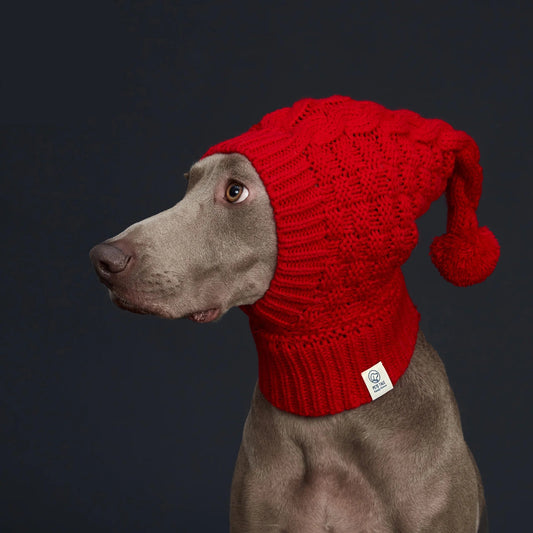 Italian Greyhound  Dog Hat