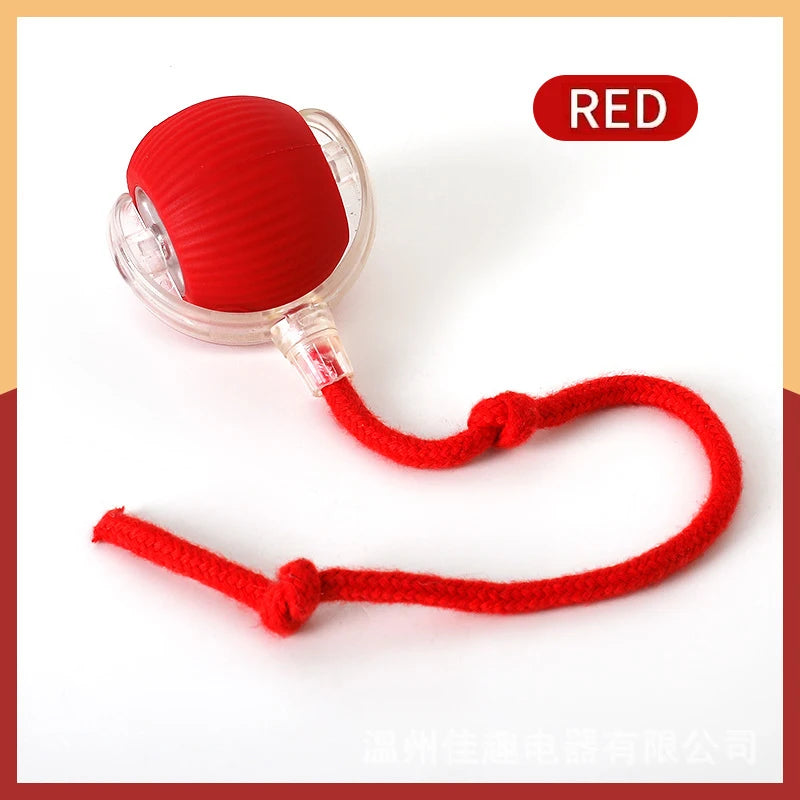 Electronic Interactive Pet Toy - Moving Ball USB