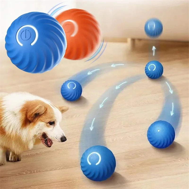 Electronic Interactive Pet Toy - Moving Ball USB