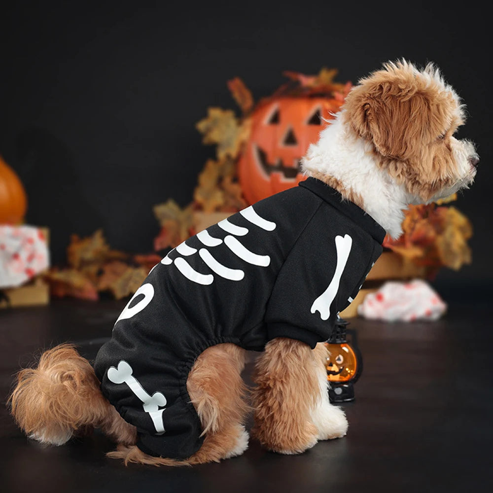 Fluorescence Pet Skeleton Costume