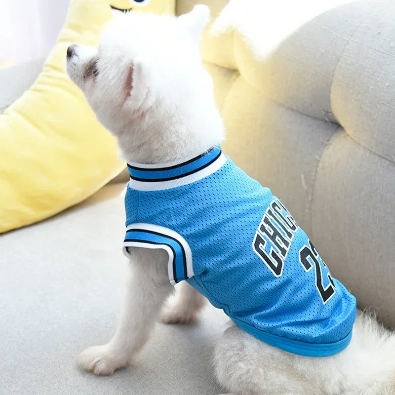Sport Dog Jersey Basketball