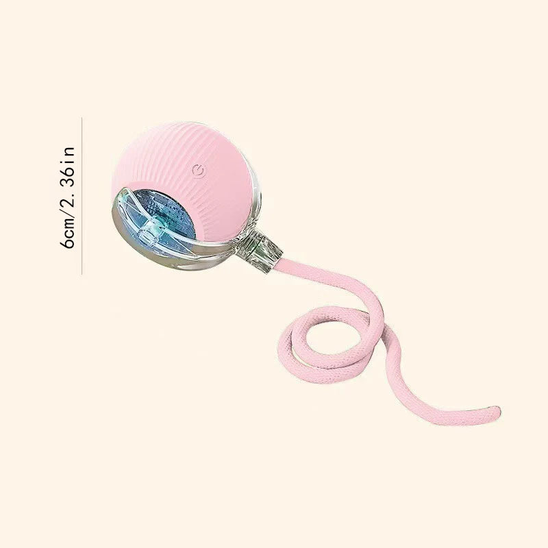 Electronic Interactive Pet Toy - Moving Ball USB