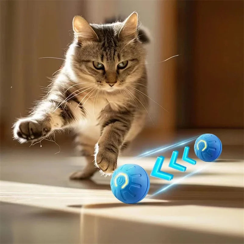 Electronic Interactive Pet Toy - Moving Ball USB