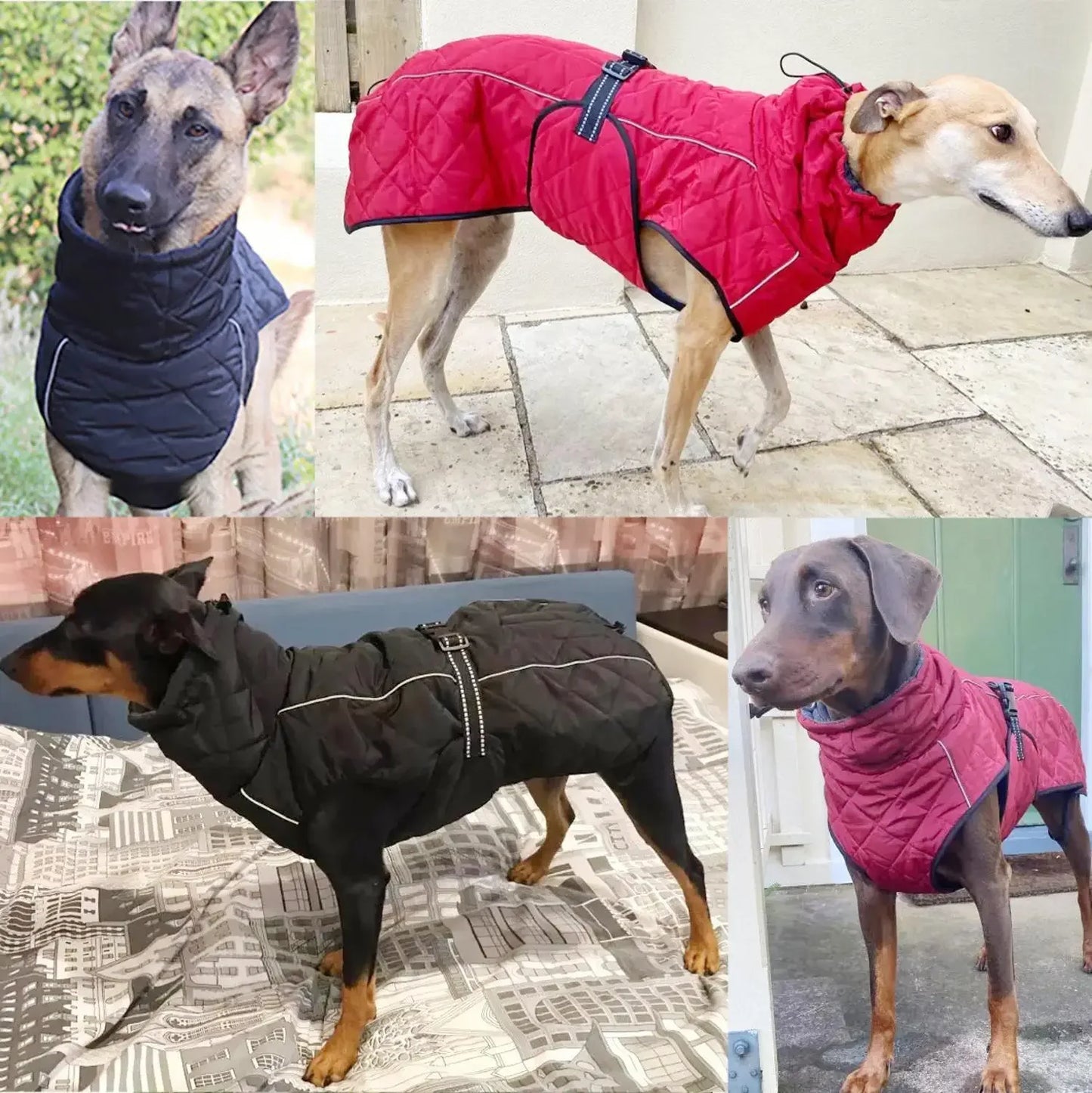 Jacket Waterproof