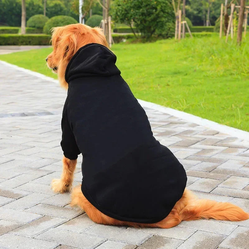 Sport Hoodies