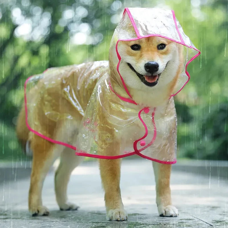 Dog Transparent Rainwear