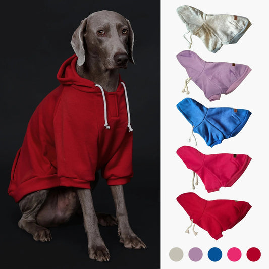 Dog Hoodie with Pocket