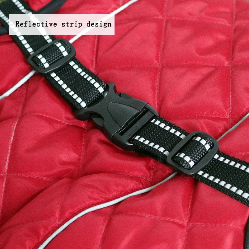 Jacket Waterproof
