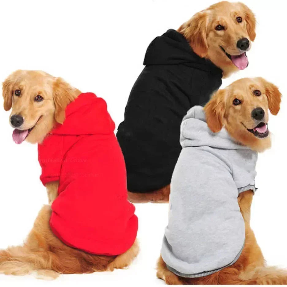 Sport Hoodies
