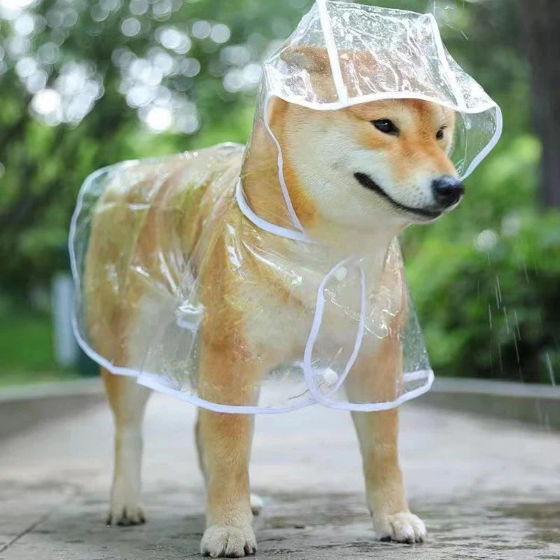 Dog Transparent Rainwear