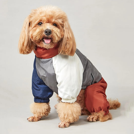 Winter Dog Jacket