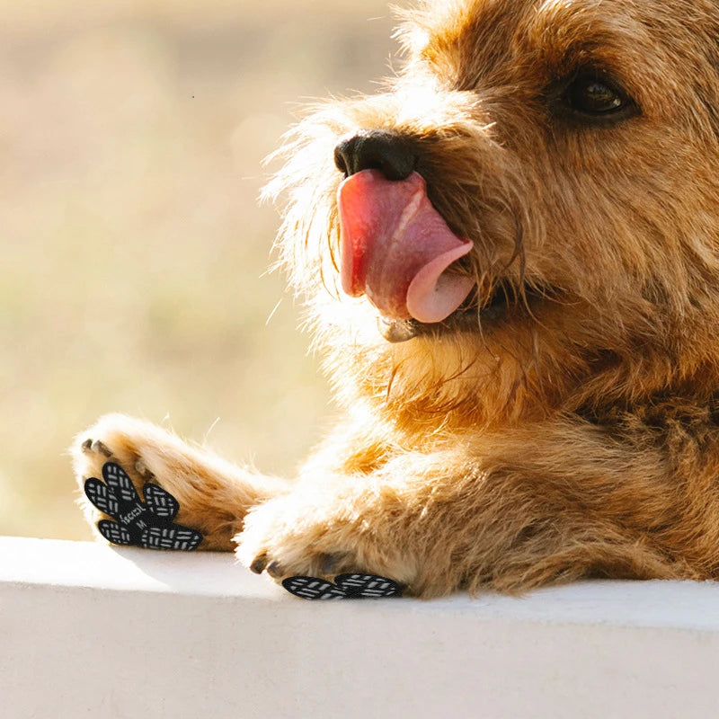 4-Pack Dog Anti Slip Paw