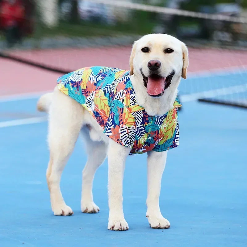 Hawaiian Beach Style Dog