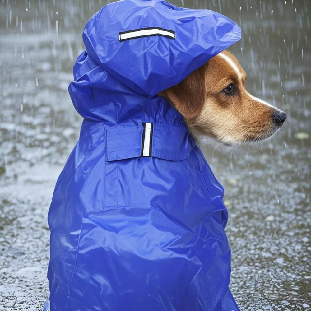 Reflective Raincoat